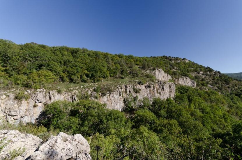 Поляна з panoramio.com - Поляна