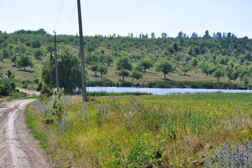 Шарапанівка з panoramio.com - Шарапанівка