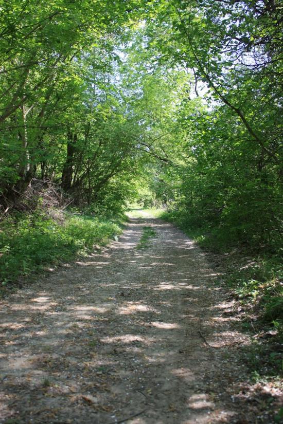 Пашківці з panoramio.com - Пашковцы