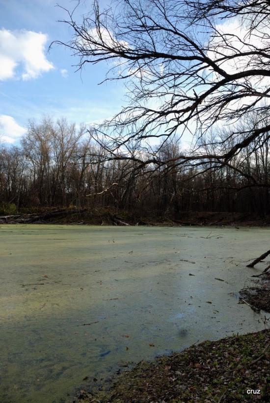 Великий Тростянець з panoramio.com - Великий Тростянец