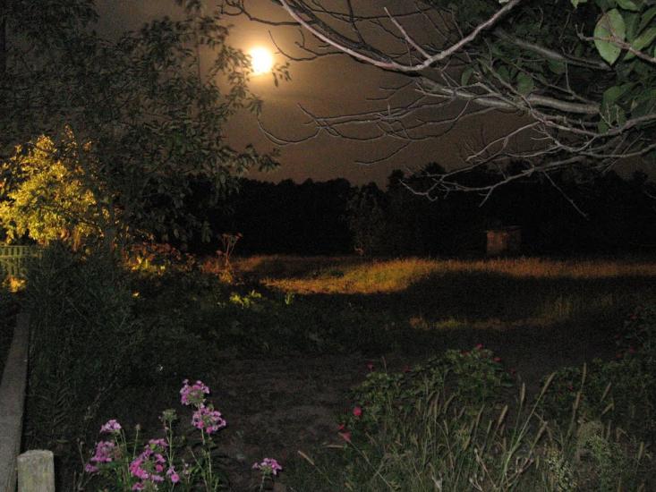 Кропивня з panoramio.com - Крапивня