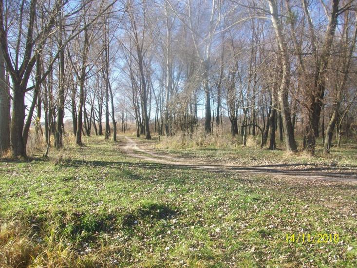 Червонозаводське з panoramio.com - Червонозаводское