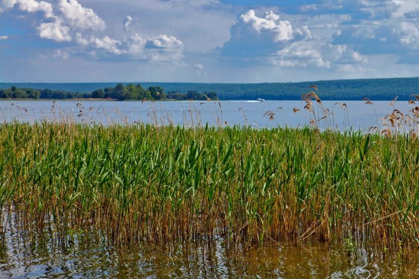 Хотімля з panoramio.com - Khotimlya