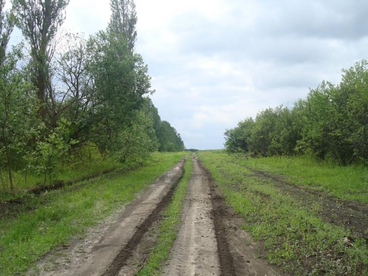 Стуфчинці з panoramio.com - Стуфчинцы