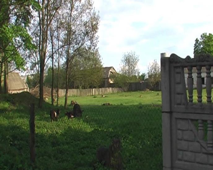 Горошків з panoramio.com - Горошков
