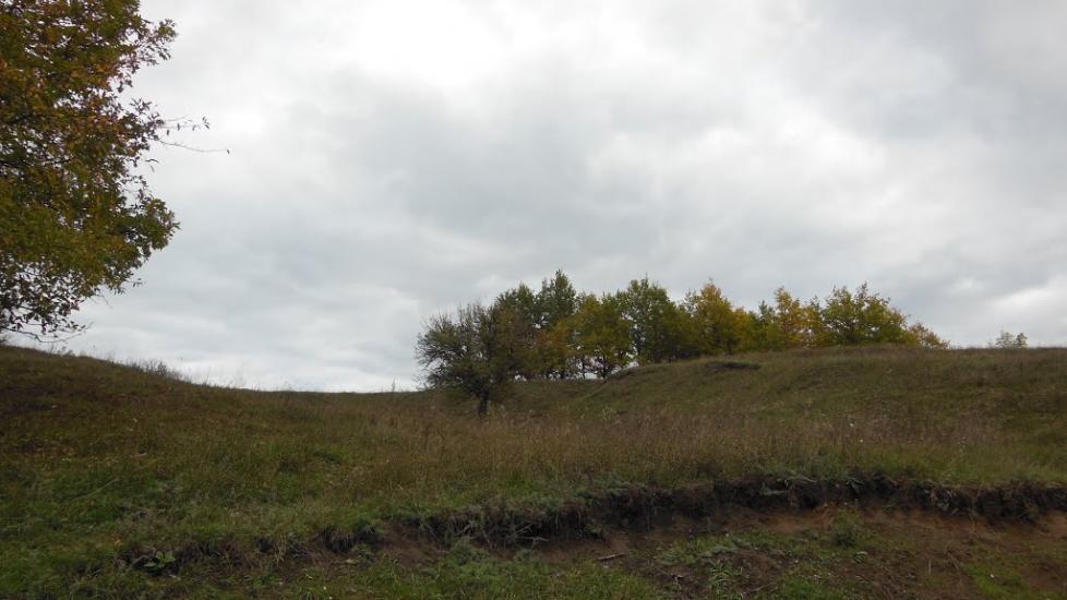 Шестакове з panoramio.com - Шестаково