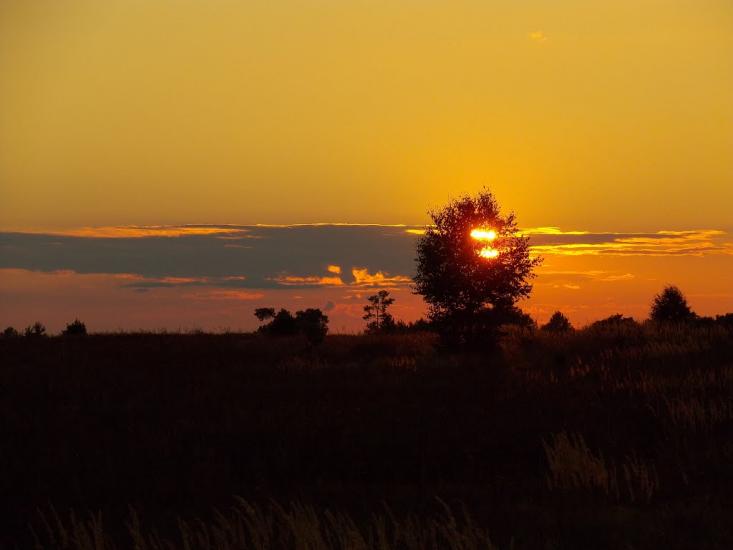 Мощена з panoramio.com - Мощена