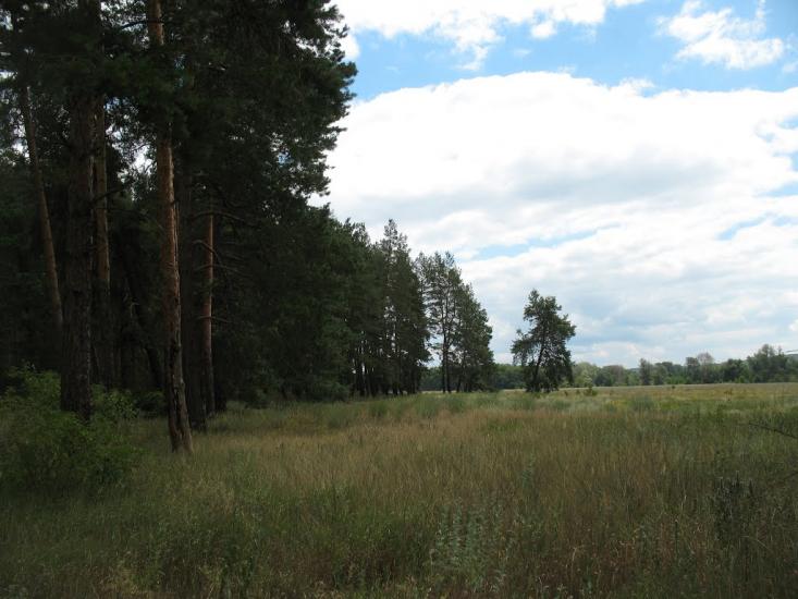 Синичине з panoramio.com - Синичине