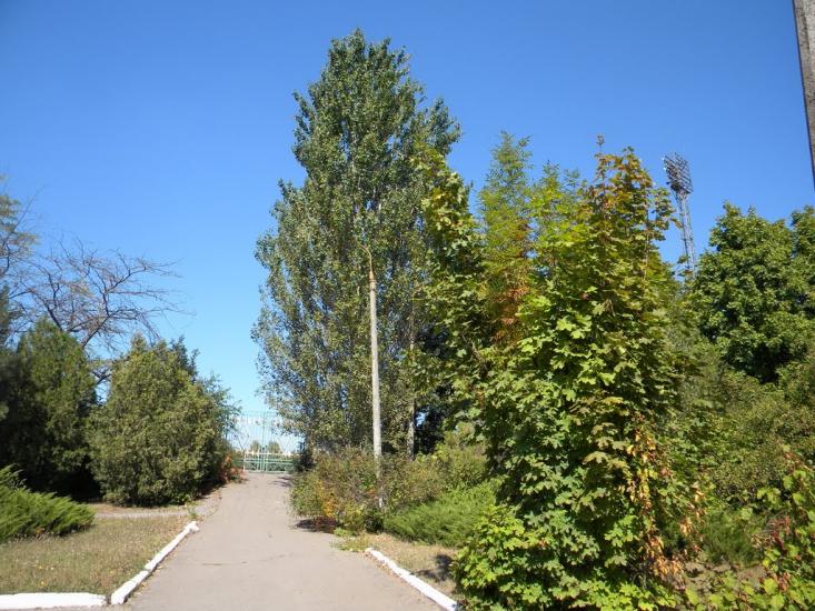 Докучаєвськ з panoramio.com - Докучаевск