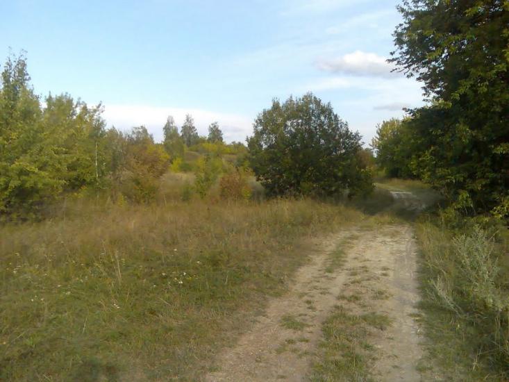 Гірки з panoramio.com - Горки