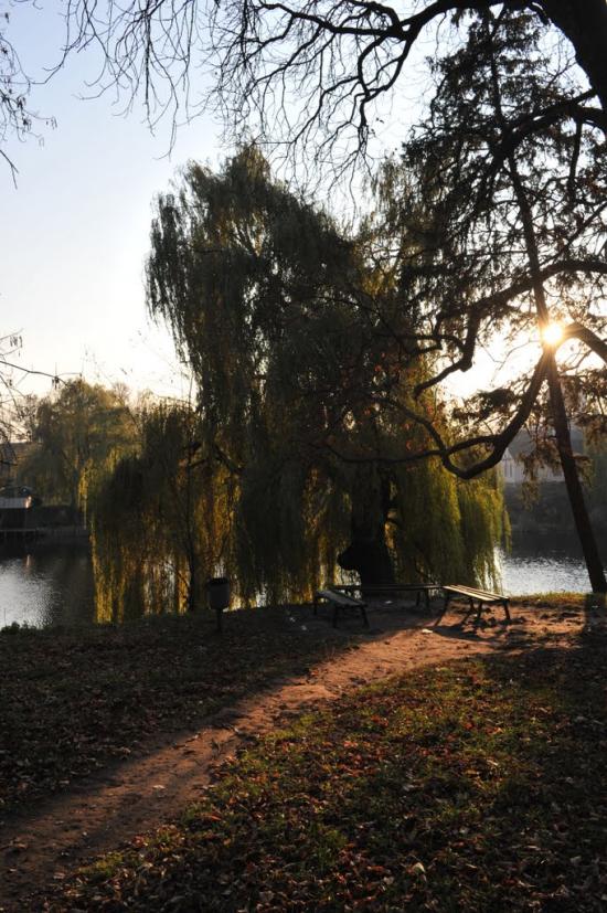 Андрушівка з panoramio.com - Андрушевка