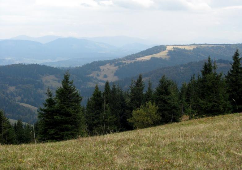 Ялинкувате з panoramio.com - Jalynkuvate