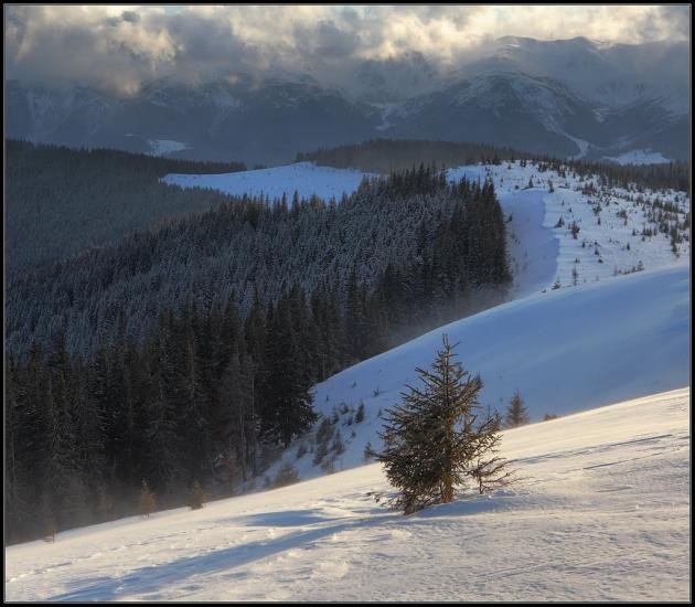 Кривопілля з panoramio.com - Kryvopillya