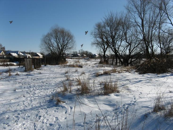 Наталине з panoramio.com - Natalyne