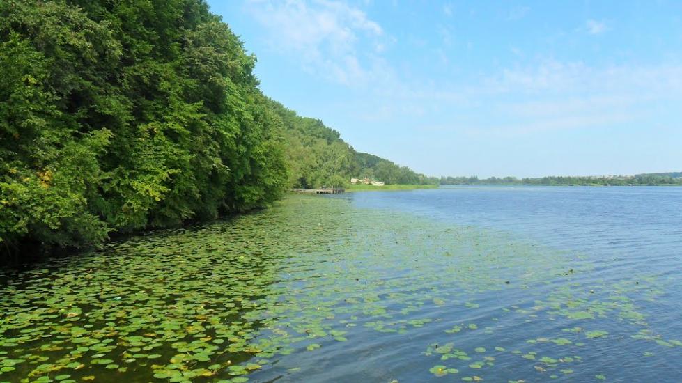 Біла з panoramio.com - Біла