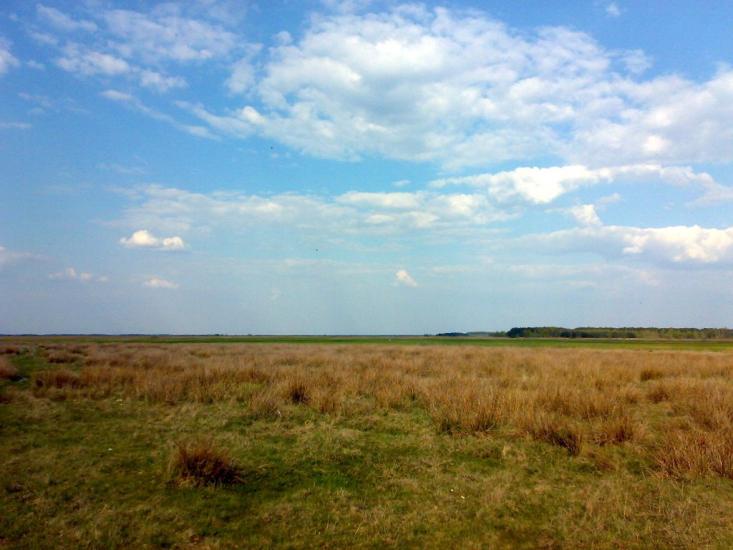 Любешів з panoramio.com - Любешов