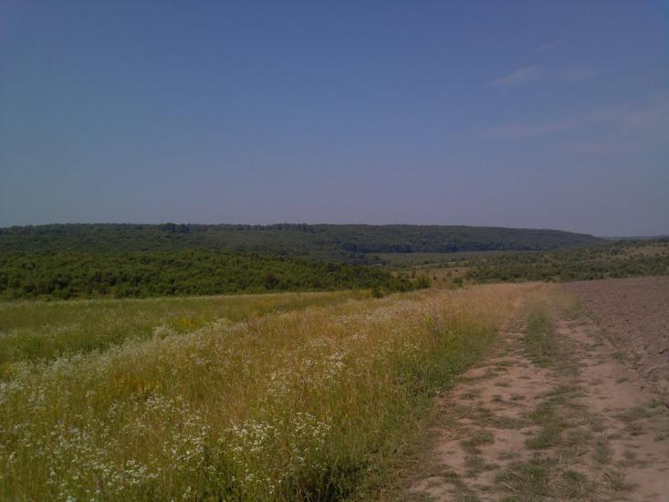 Добряничі з panoramio.com - Добряничі