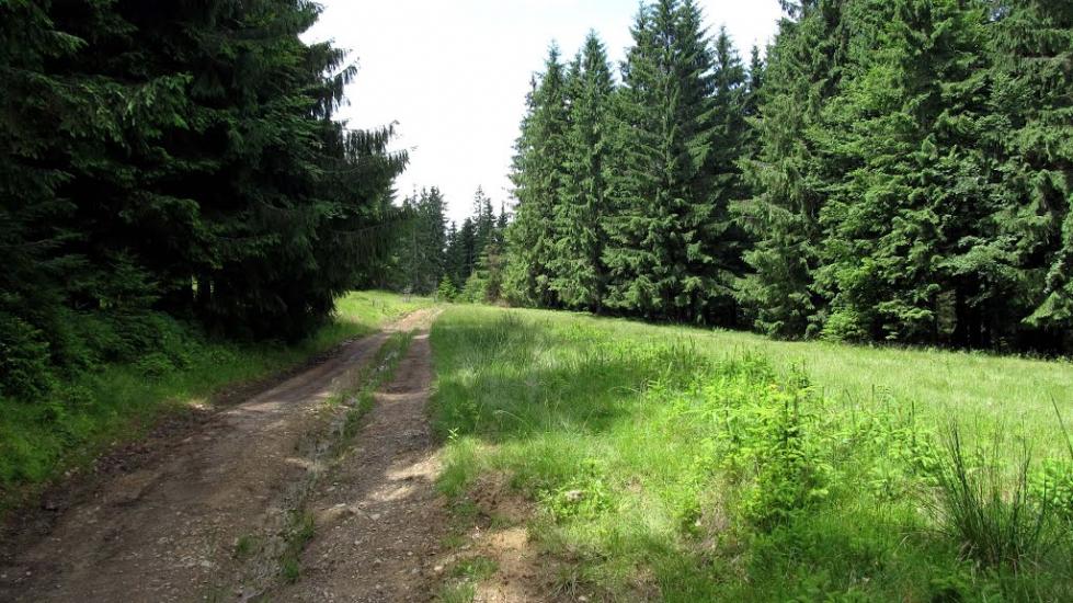 Тітківці з panoramio.com - Тетковцы