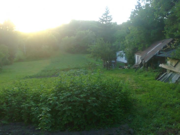 Товсті Роги з panoramio.com - Товсті Роги