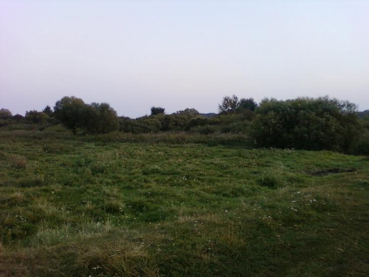 Сальник з panoramio.com - Сальник
