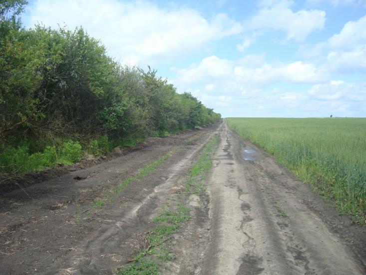 Давидківці з panoramio.com - Давыдковцы