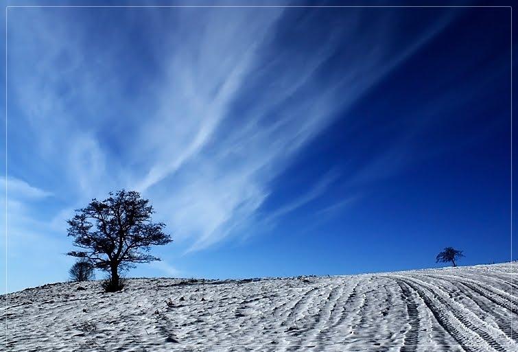 Яблунівка з panoramio.com - Яблоновка