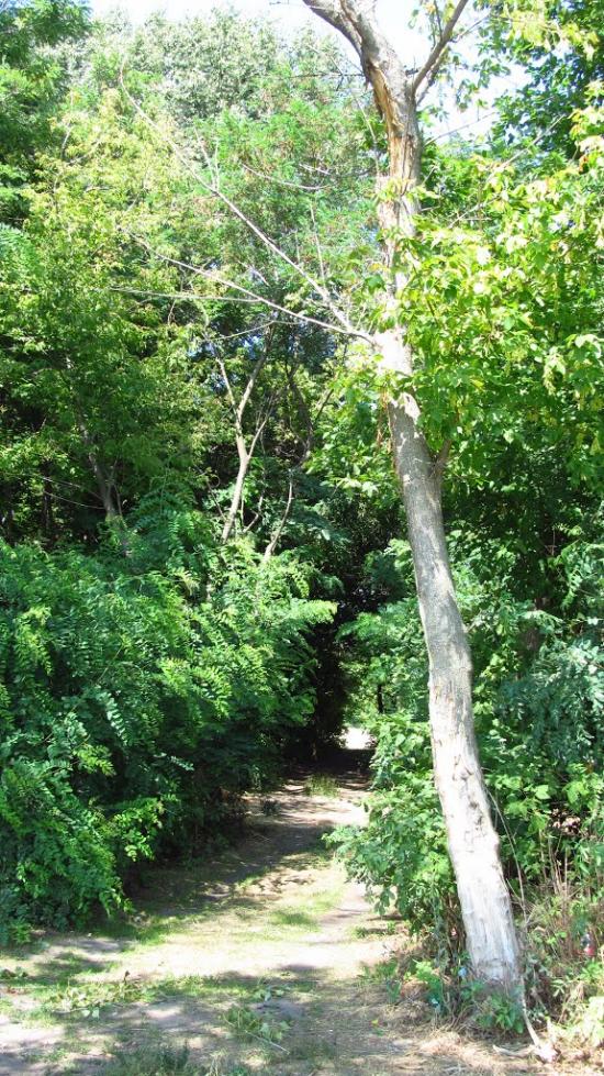 Недогарки з panoramio.com - Nedogarky