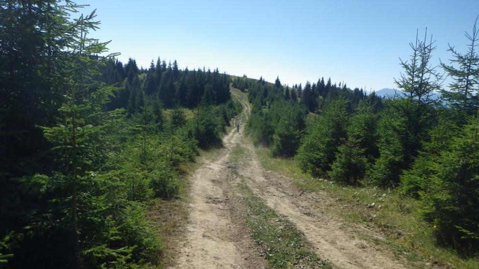 Завийка з panoramio.com - Zavyyka