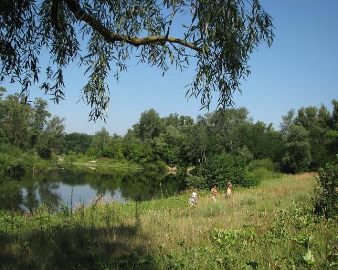 Бірки з panoramio.com - Борки