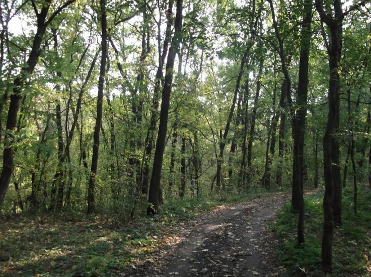 Хащеве з panoramio.com - Хащеве