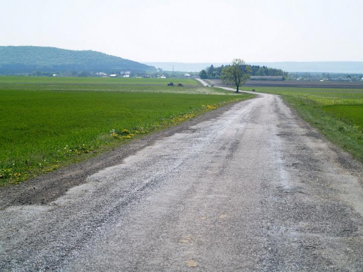 Підлисся з panoramio.com - Підлисся