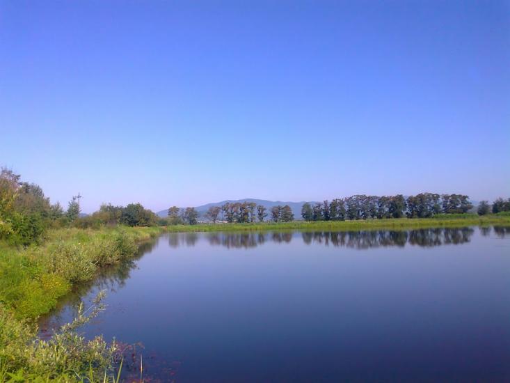 Боронява з panoramio.com - Боронява
