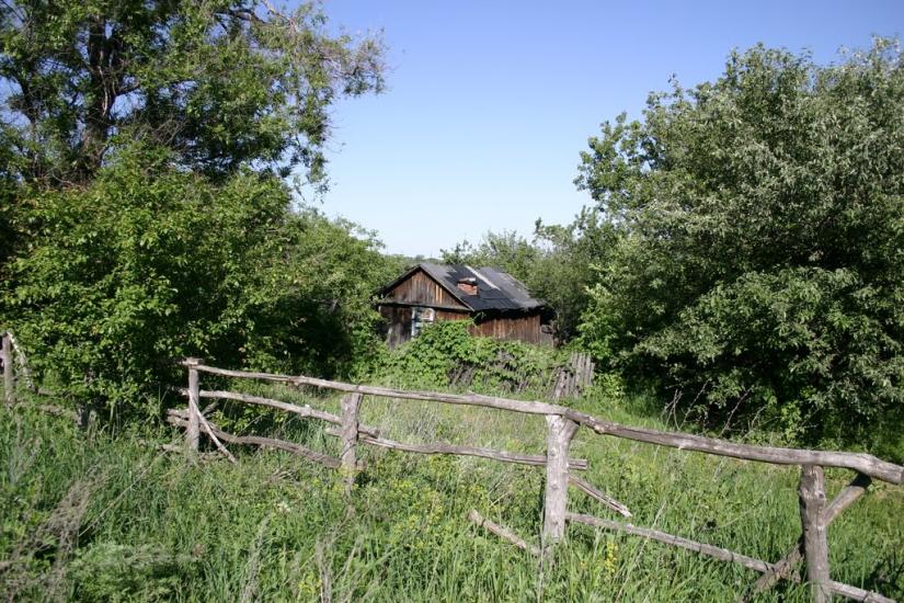 Золоте з panoramio.com - Золотое