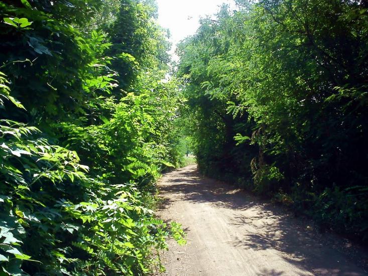 Кіровськ з panoramio.com - Кировск
