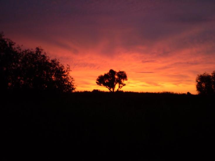 Лиманське з panoramio.com - Лиманське