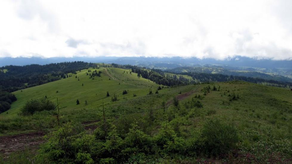 Завийка з panoramio.com - Завийка