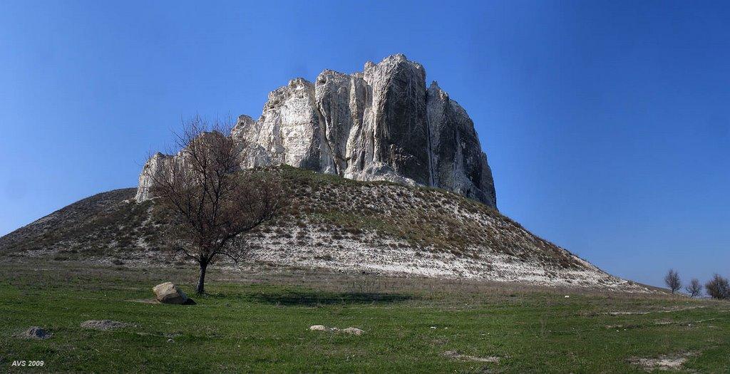 Білокузьминівка з panoramio.com - Білокузьминівка