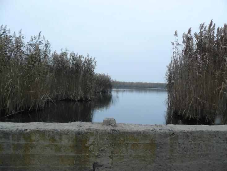 Градениці з panoramio.com - Градениці