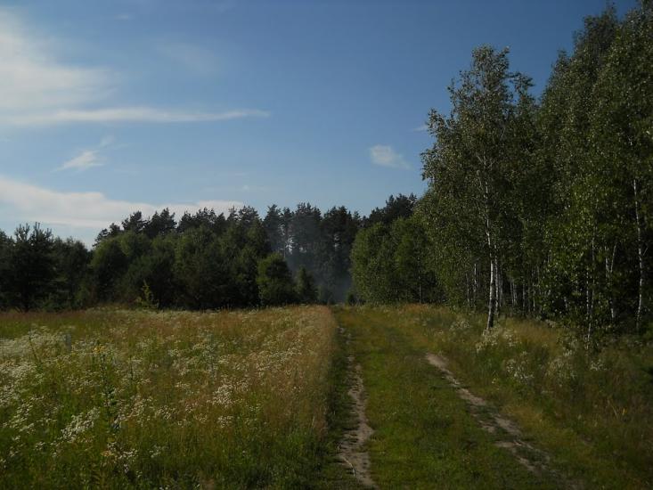 Струмок з panoramio.com - Струмок