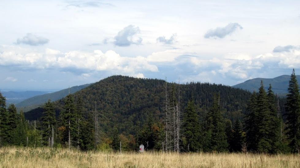 Мислівка з panoramio.com - Мысливка