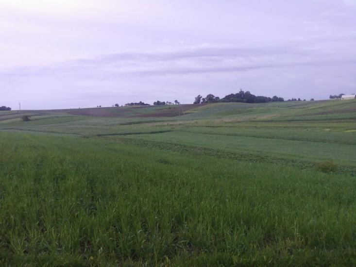 Острожець з panoramio.com - Острожец