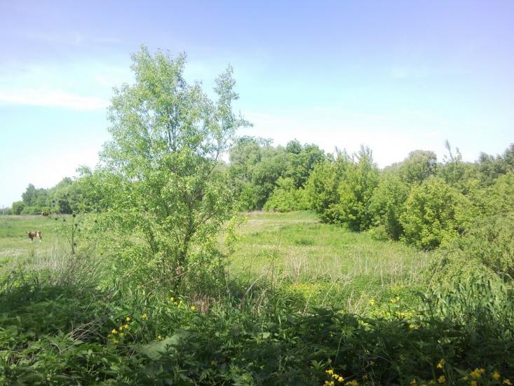 Кошари з panoramio.com - Кошари