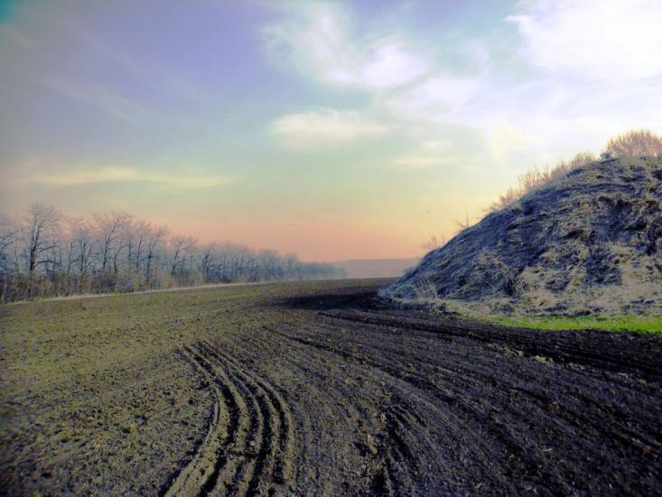 Ванчиківці з panoramio.com - Ванчиковцы