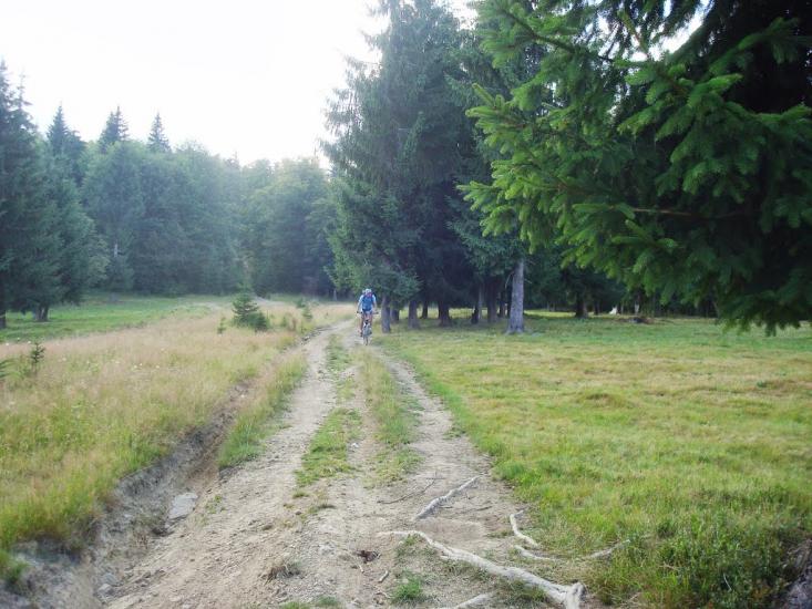 Кваси з panoramio.com - Квасы