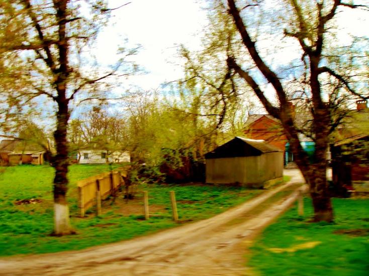 Тараща з panoramio.com - Тараща