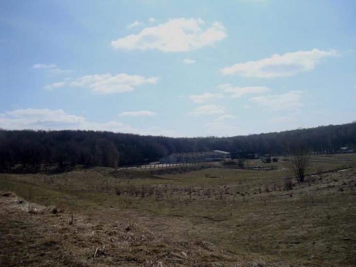 Новостроївка з panoramio.com - Новостроївка