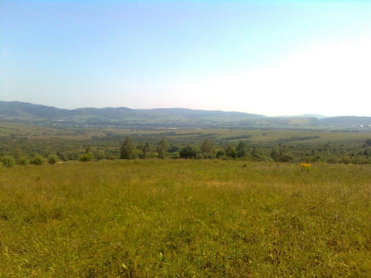 Пшеничники з panoramio.com - Пшеничники