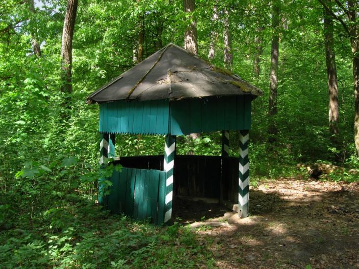 Верхутка з panoramio.com - Верхутка