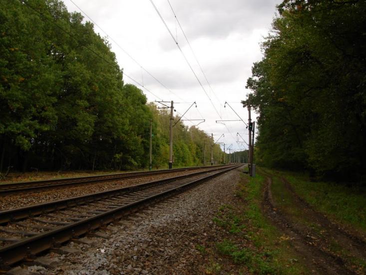 Старий Мерчик з panoramio.com - Старий Мерчик