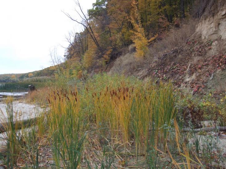 Хотімля з panoramio.com - Хотімля